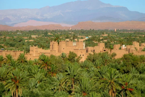Desert Dunes and Oasis Towns of Morocco