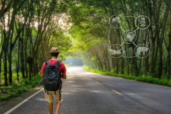 Safety Tips and Solo Journeys Made Confident