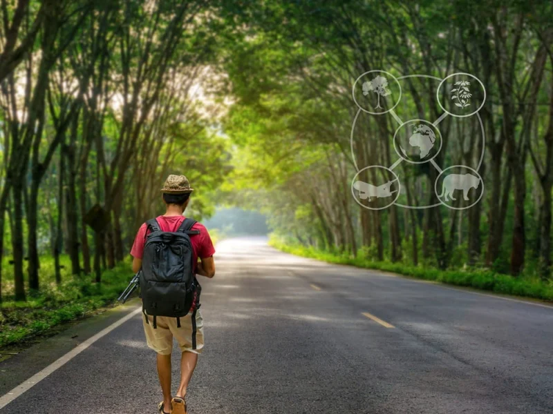 Safety Tips and Solo Journeys Made Confident