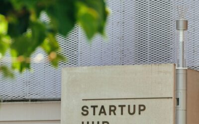 Local Startups Attract International Investment
