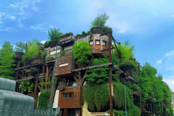 Top 5 Eco-Friendly Resorts to Visit This Year