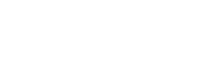 Trendy News Pro Two